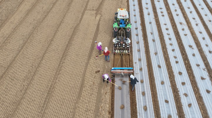 1716187714911963.jpg 2.jpg